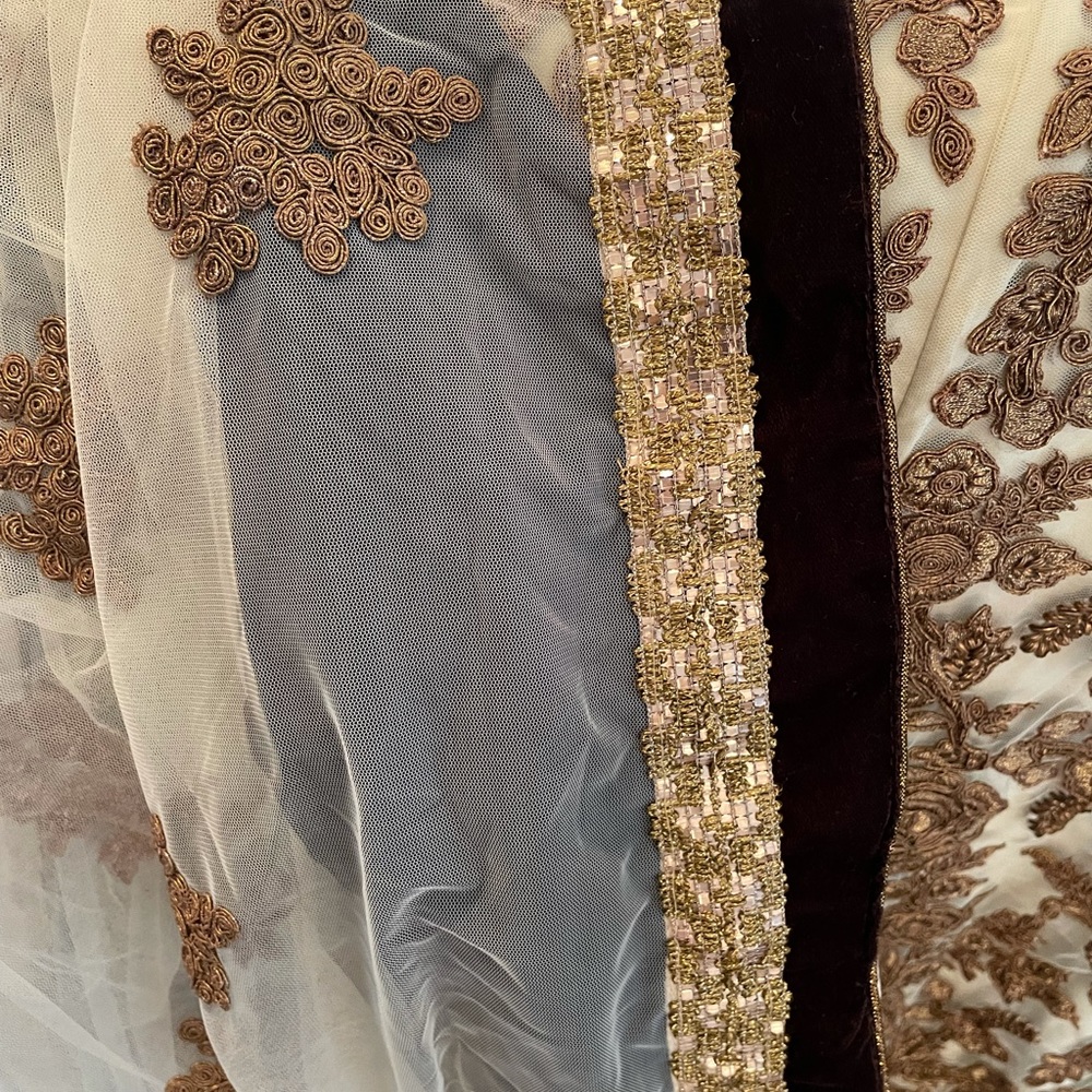 Brown Velvet with gold embroidery work on it.  Wear it once for a few hours.